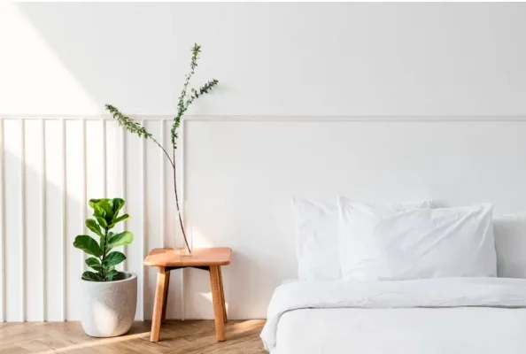 property management company in Torrevieja