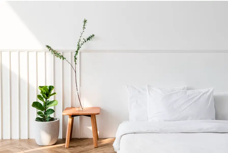property management company in Torrevieja