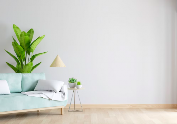 Maximizing Profits with an Experienced Co-Host on Airbnb in Torrevieja