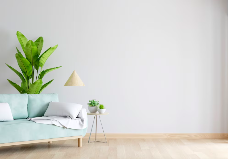 Maximizing Profits with an Experienced Co-Host on Airbnb in Torrevieja