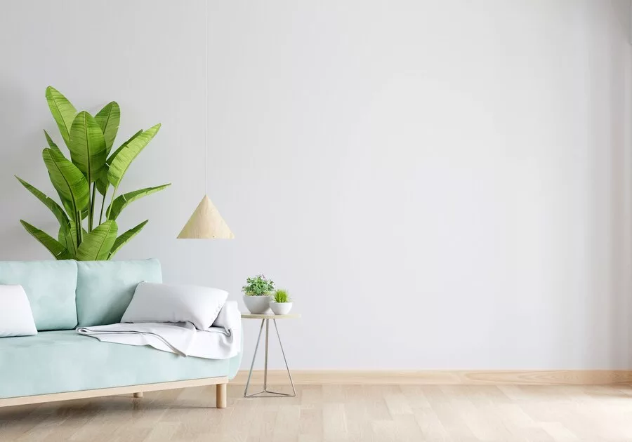 Airbnb property management services in Torrevieja